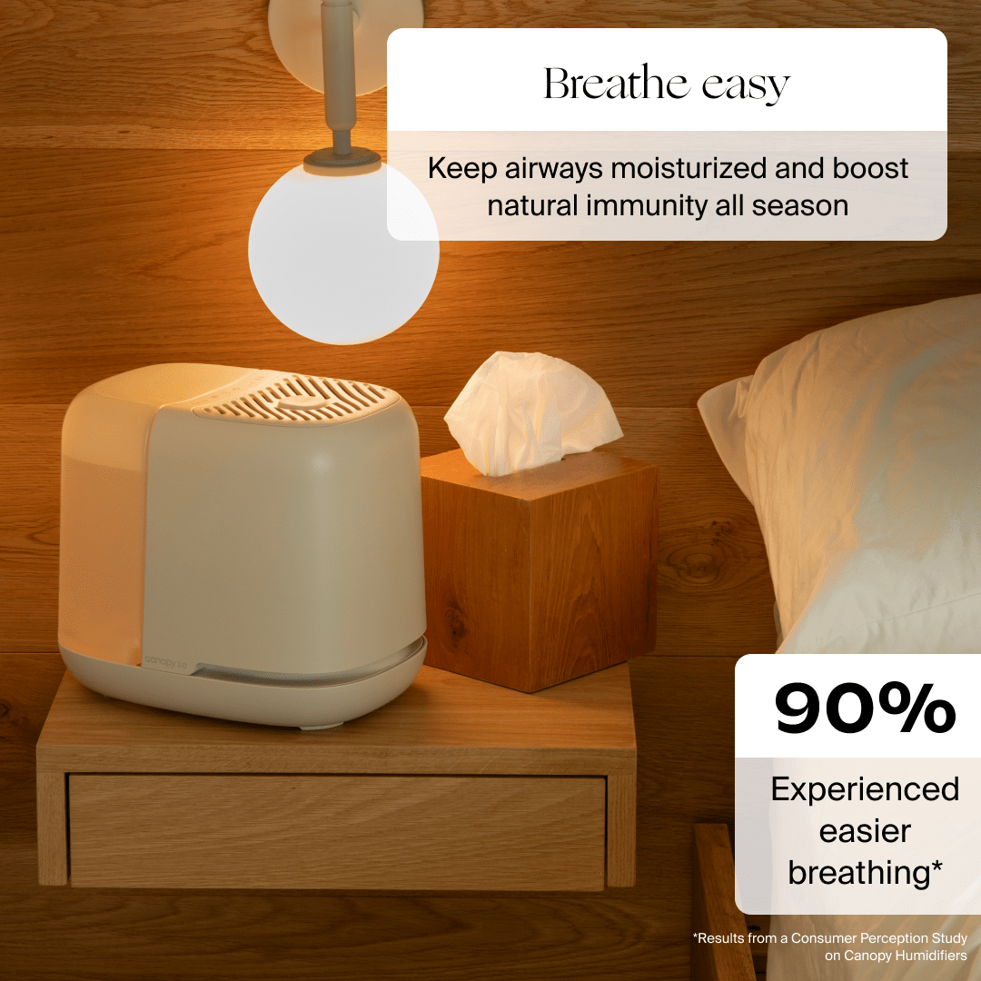 Bedside Humidifier 2.0 by Canopy