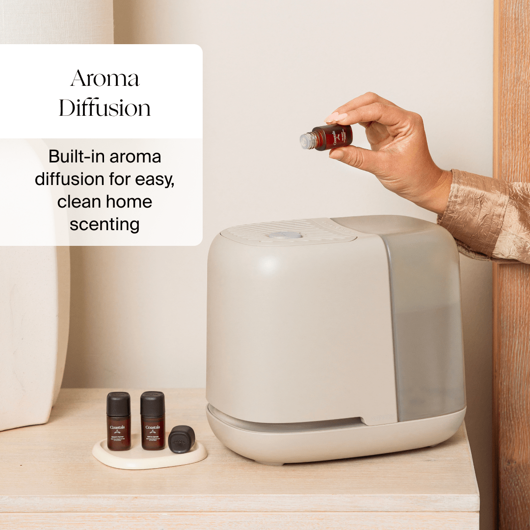 Bedside Humidifier 2.0 by Canopy