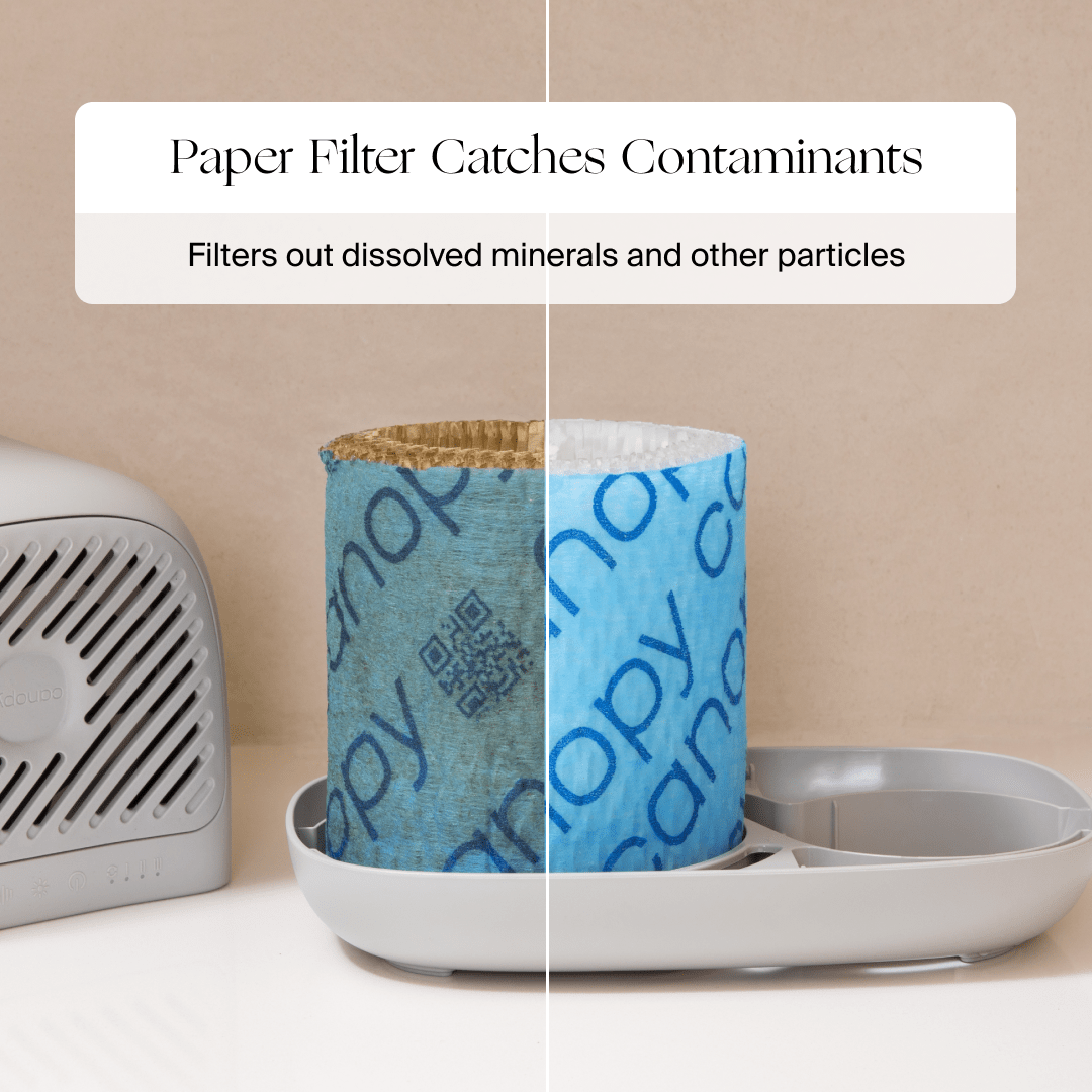 Bedside Humidifier 2.0 by Canopy