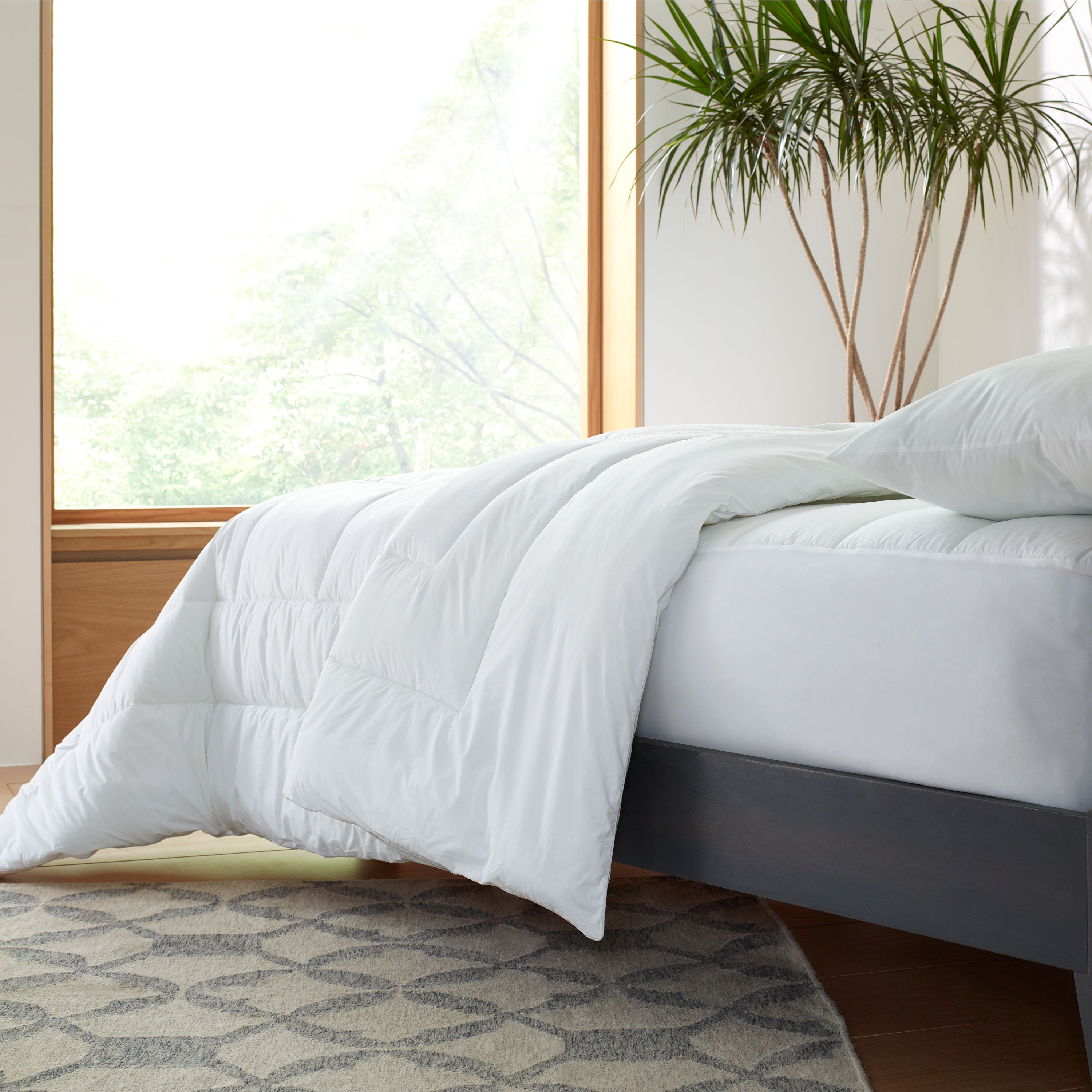 College Dorm Essentials Plus Bundle